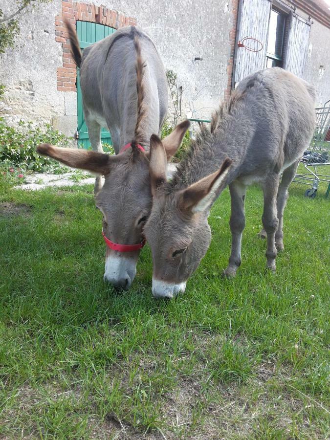 Le Gite Des Potes Lorris Esterno foto